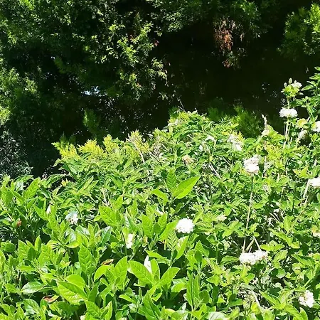 - Ayia Thekla Sea View Villa *