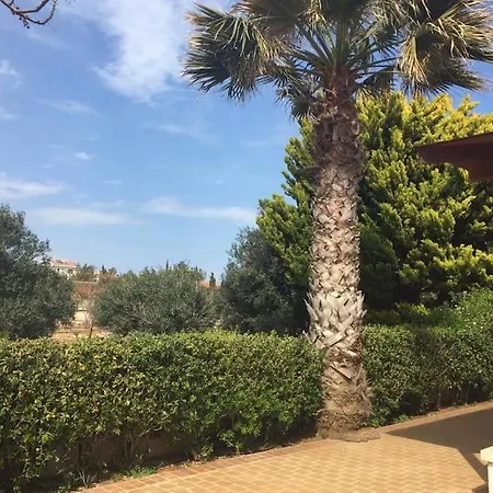 - Ayia Thekla Sea View