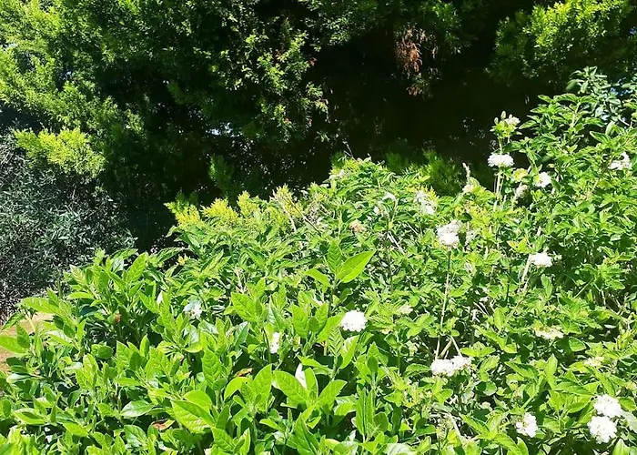 - Ayia Thekla Sea View Villa *